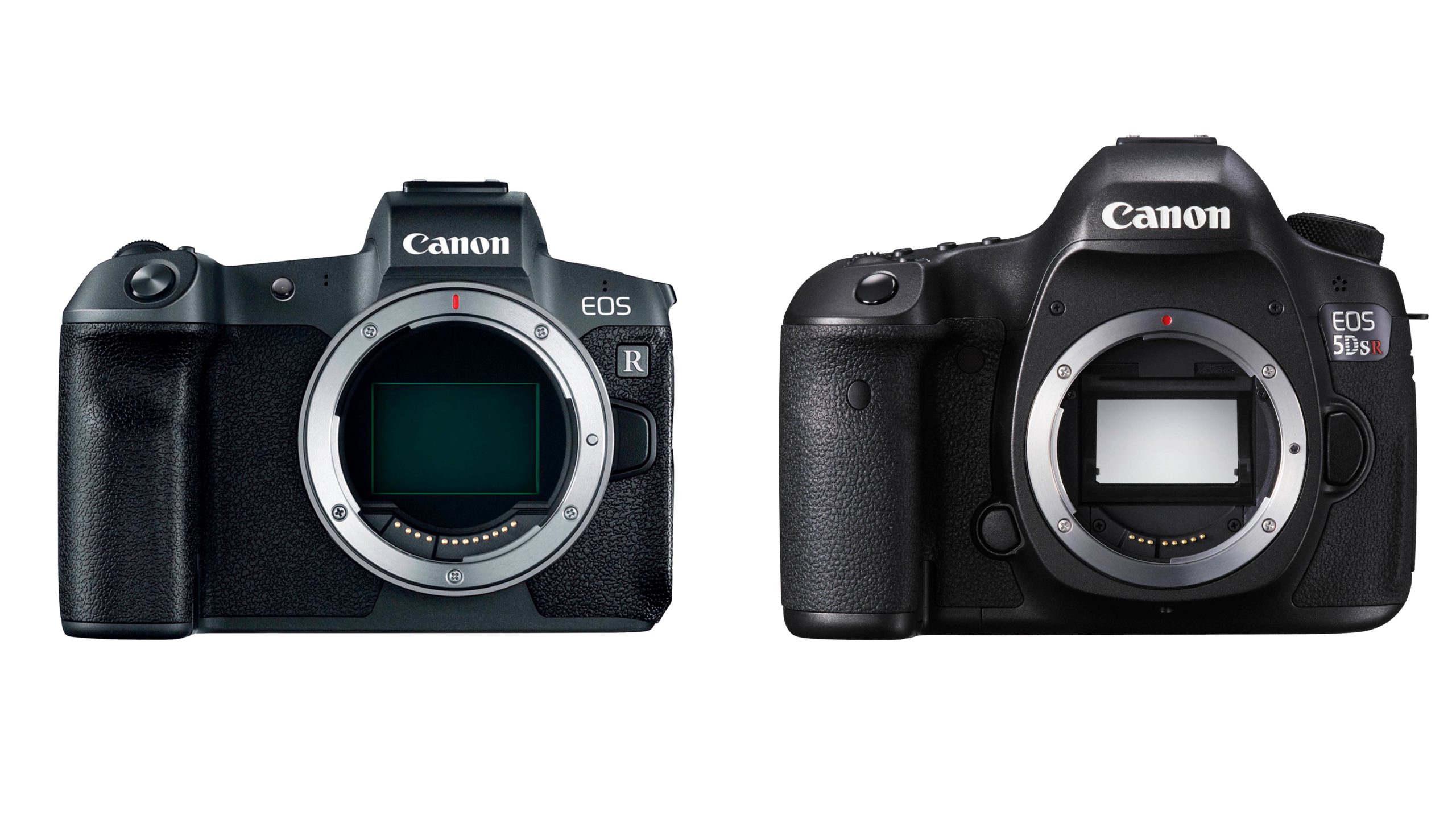 The Rumors are True: The Canon EOS R5 is in Development