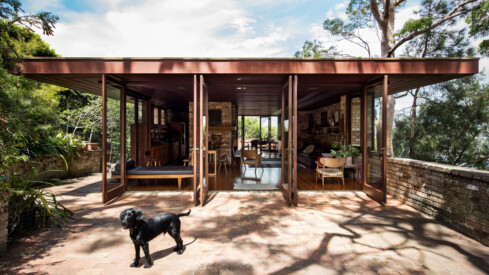 Nicole England Combines Her Passion for Architecture & Dogs With Her Loveable Series “Resident Dog”