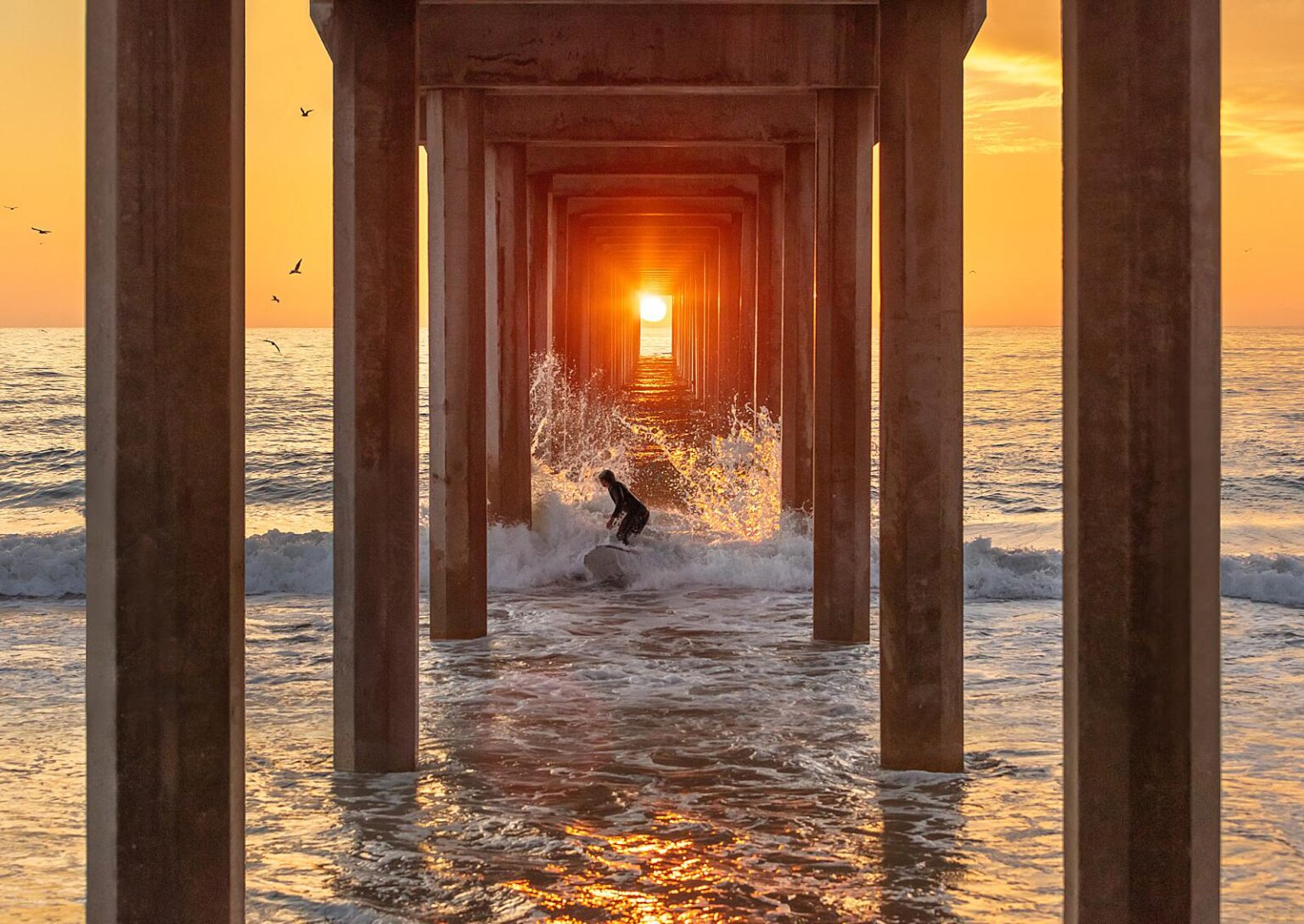 The Official 2022 Architectural Photography Awards Photo of the Year ...