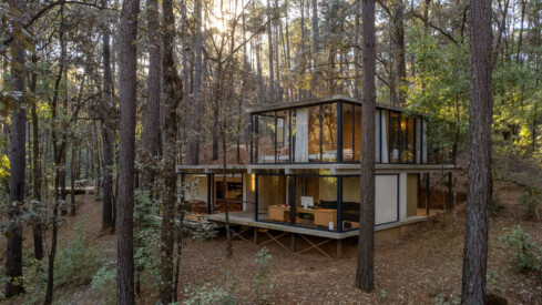 Immerse Yourself in the Forest Surrounding Casa Cono With the Esteemed Architectural Photography of LGM Studio