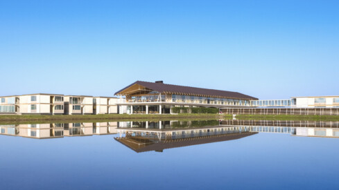 Experience Japan with Mike Kelley + Simon Devitt