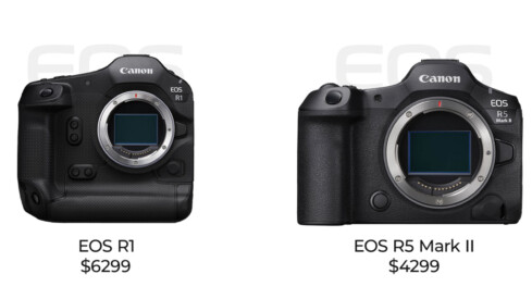 Behold! Canon’s Newest Releases – The EOS R1 and EOS R5 MK II